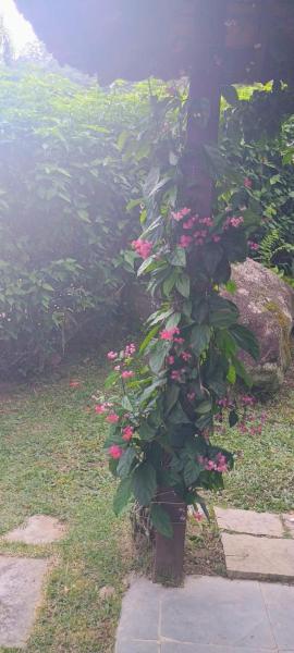 Espaço 11